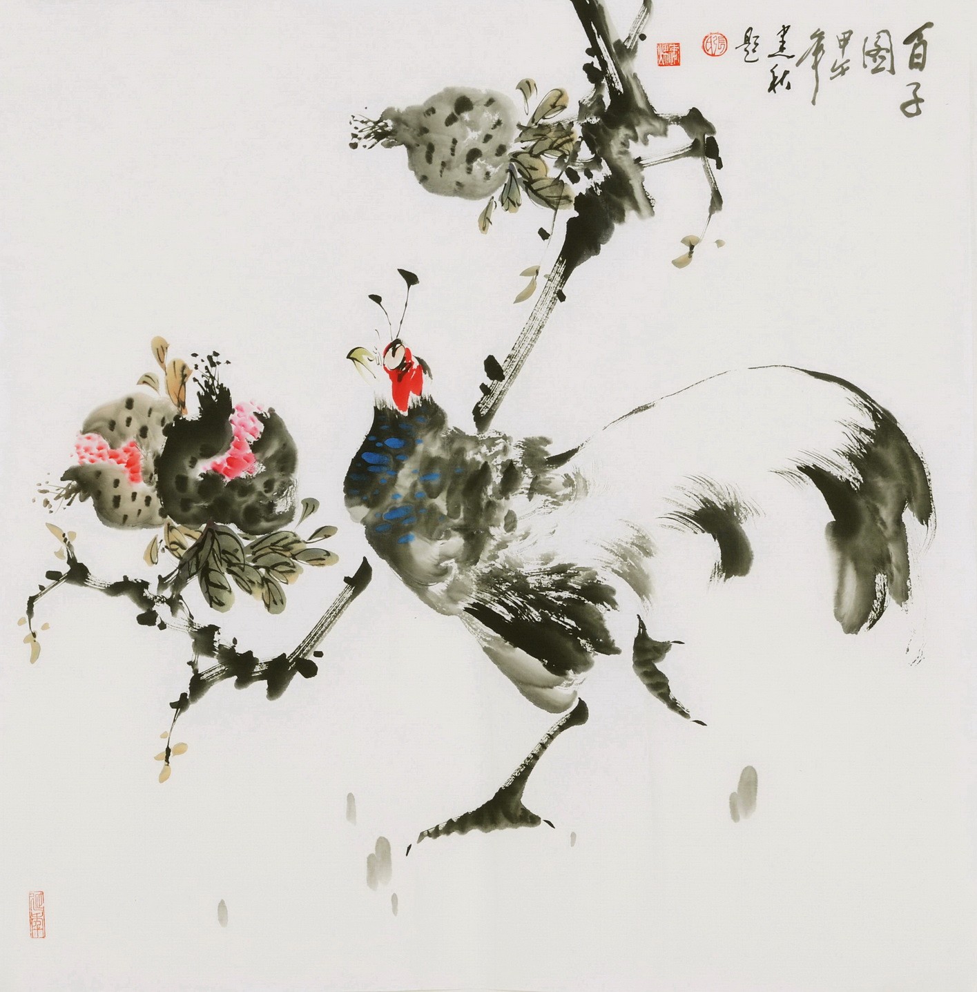 Chicken - CNAG005788
