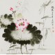 Lotus - CNAG005794