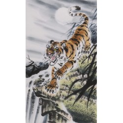 Tiger - CNAG000058