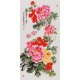 Peony - CNAG000582