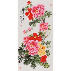 Peony - CNAG000582