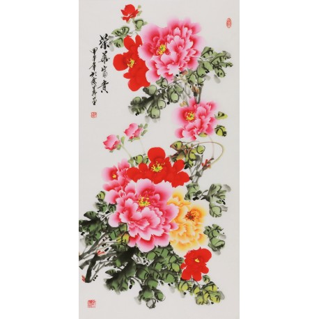 Peony - CNAG000582