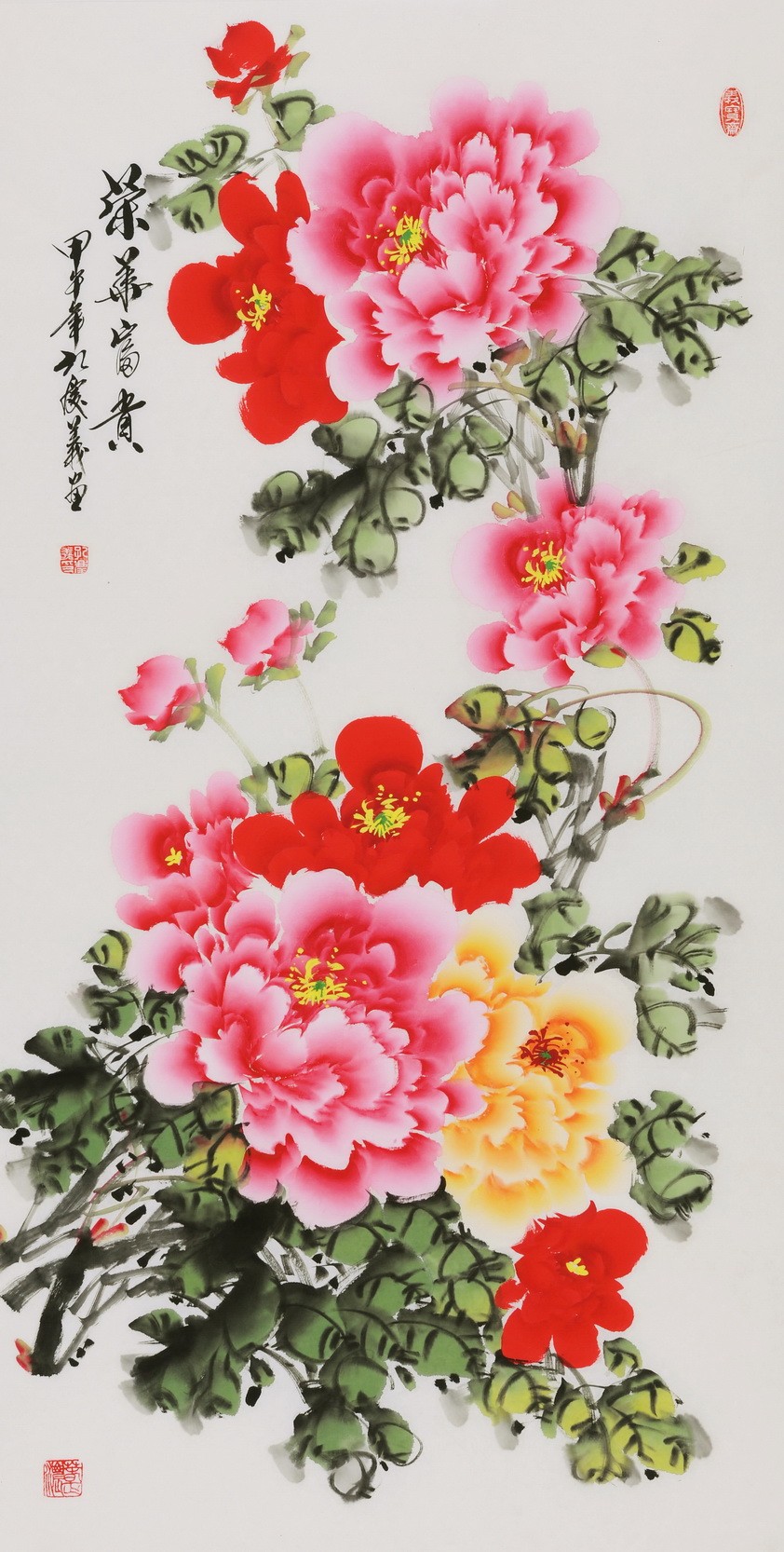 Peony - CNAG000582