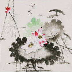 Lotus - CNAG005818