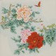 Peony - CNAG005819