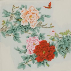 Peony - CNAG005819