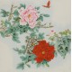 Peony - CNAG005823