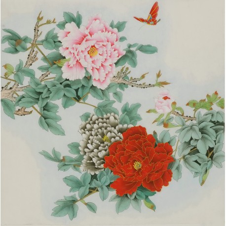 Peony - CNAG005823