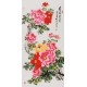 Peony - CNAG000583