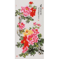 Peony - CNAG000583