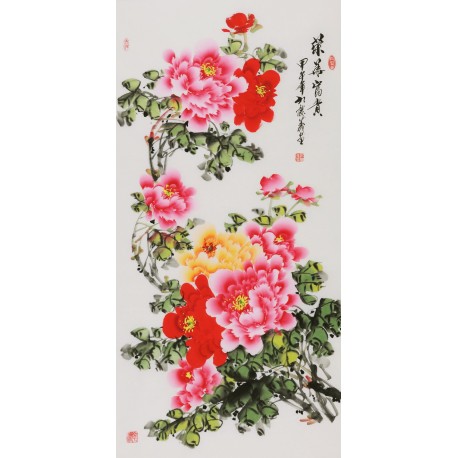 Peony - CNAG000583