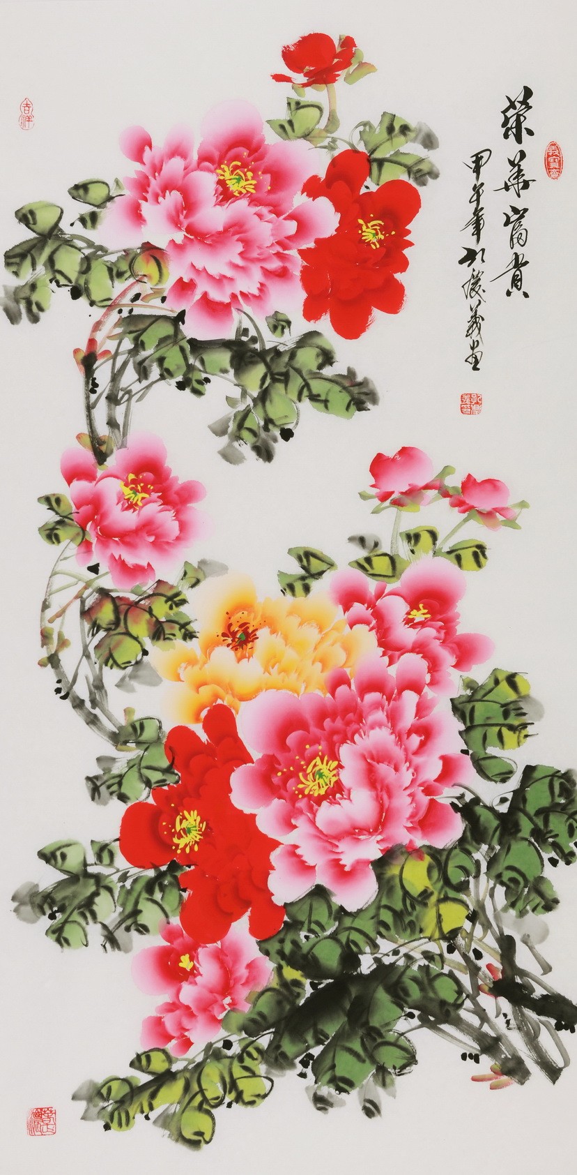 Peony - CNAG000583