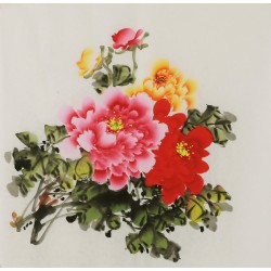 Peony - CNAG005826