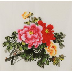 Peony - CNAG005827