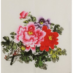 Peony - CNAG005829