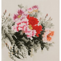 Peony - CNAG005830