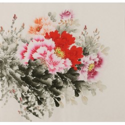 Peony - CNAG005832