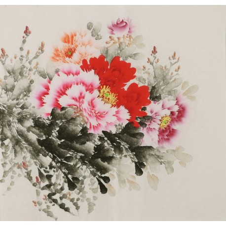 Peony - CNAG005832
