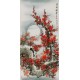 Plum - CNAG000584
