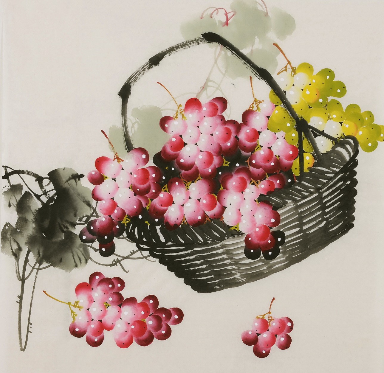 Grapes - CNAG005836
