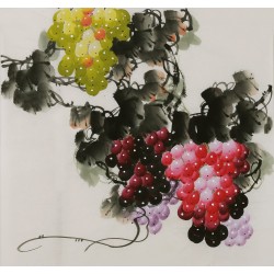 Grapes - CNAG005839