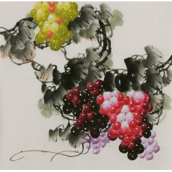 Grapes - CNAG005840