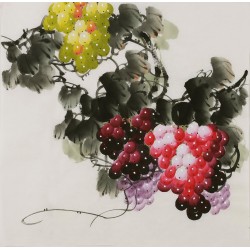 Grapes - CNAG005841