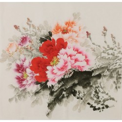 Peony - CNAG005842