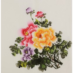 Peony - CNAG005843