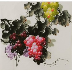Grapes - CNAG005846