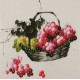 Grapes - CNAG005848