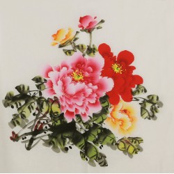 Peony - CNAG005849