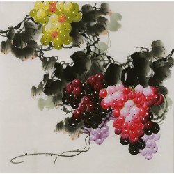 Grapes - CNAG005851