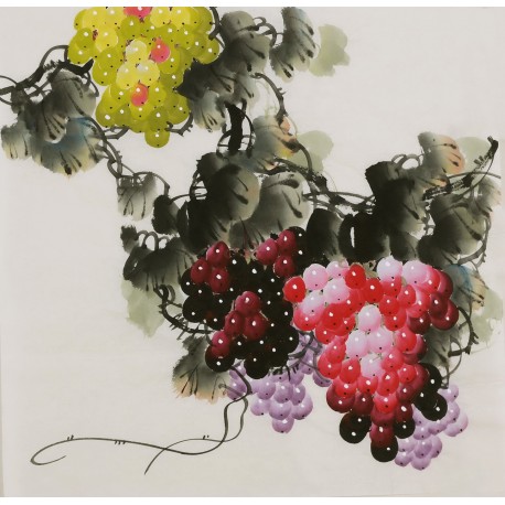 Grapes - CNAG005852