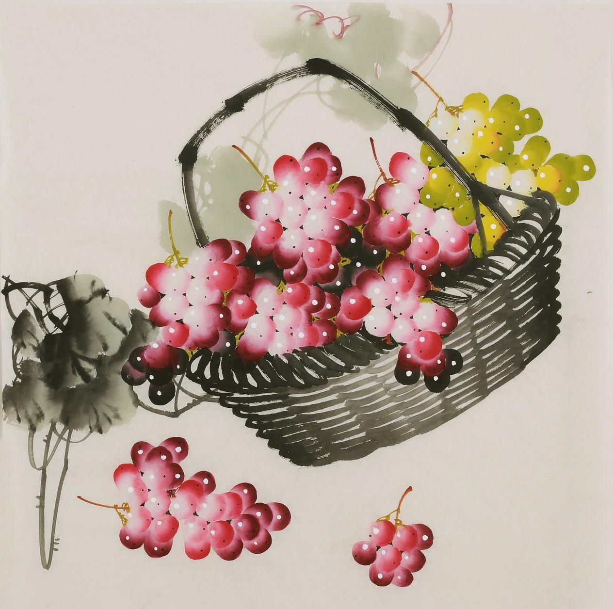 Grapes - CNAG005853