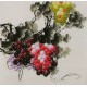 Grapes - CNAG005854