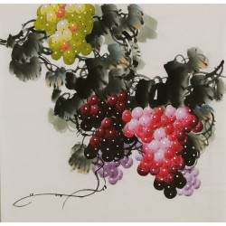 Grapes - CNAG005855