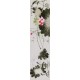 Lotus - CNAG000586