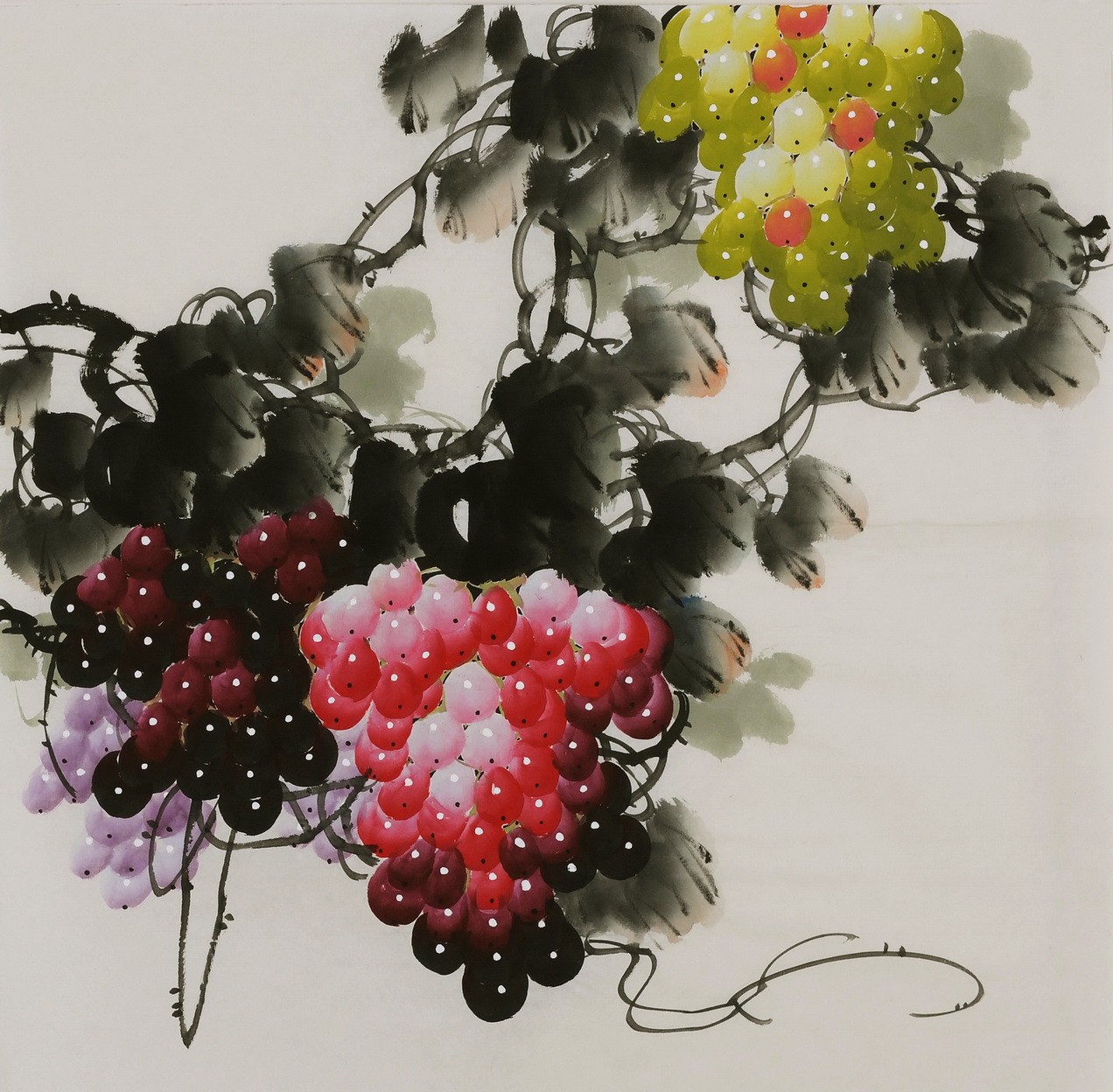 Grapes - CNAG005856