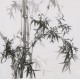 Ink Bamboo - CNAG005857
