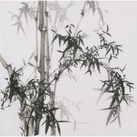 Ink Bamboo - CNAG005857