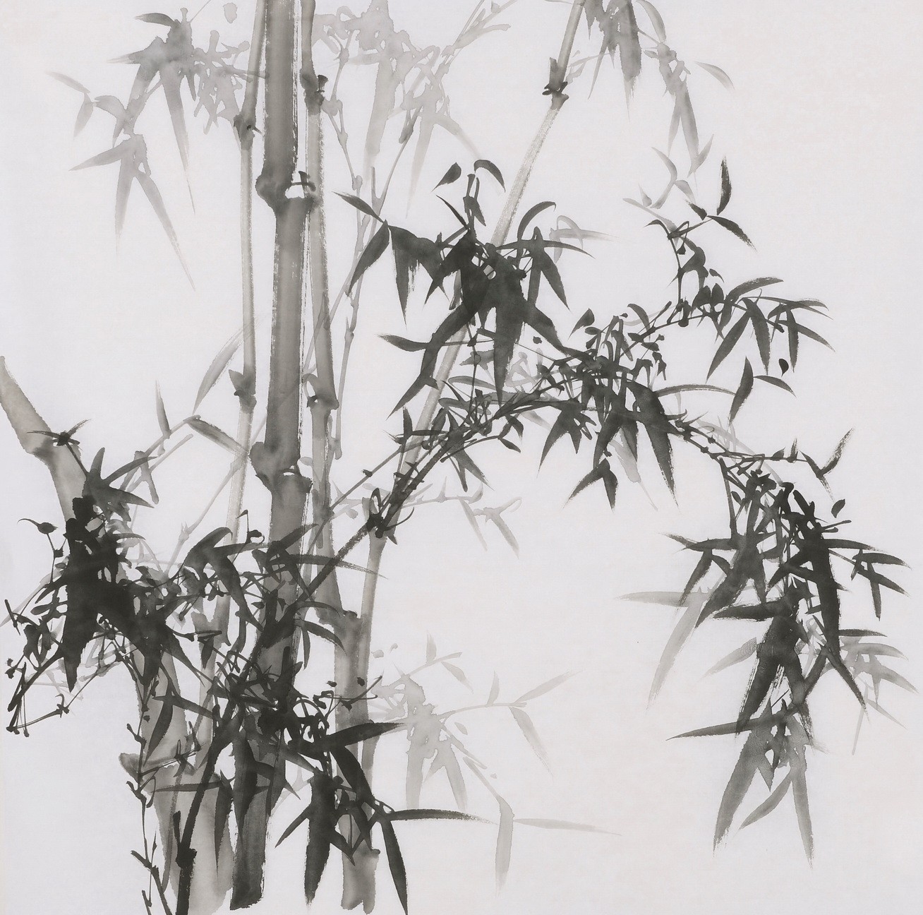Ink Bamboo - CNAG005857