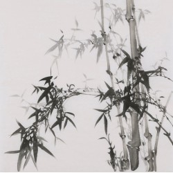Ink Bamboo - CNAG005860