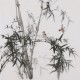 Ink Bamboo - CNAG005861