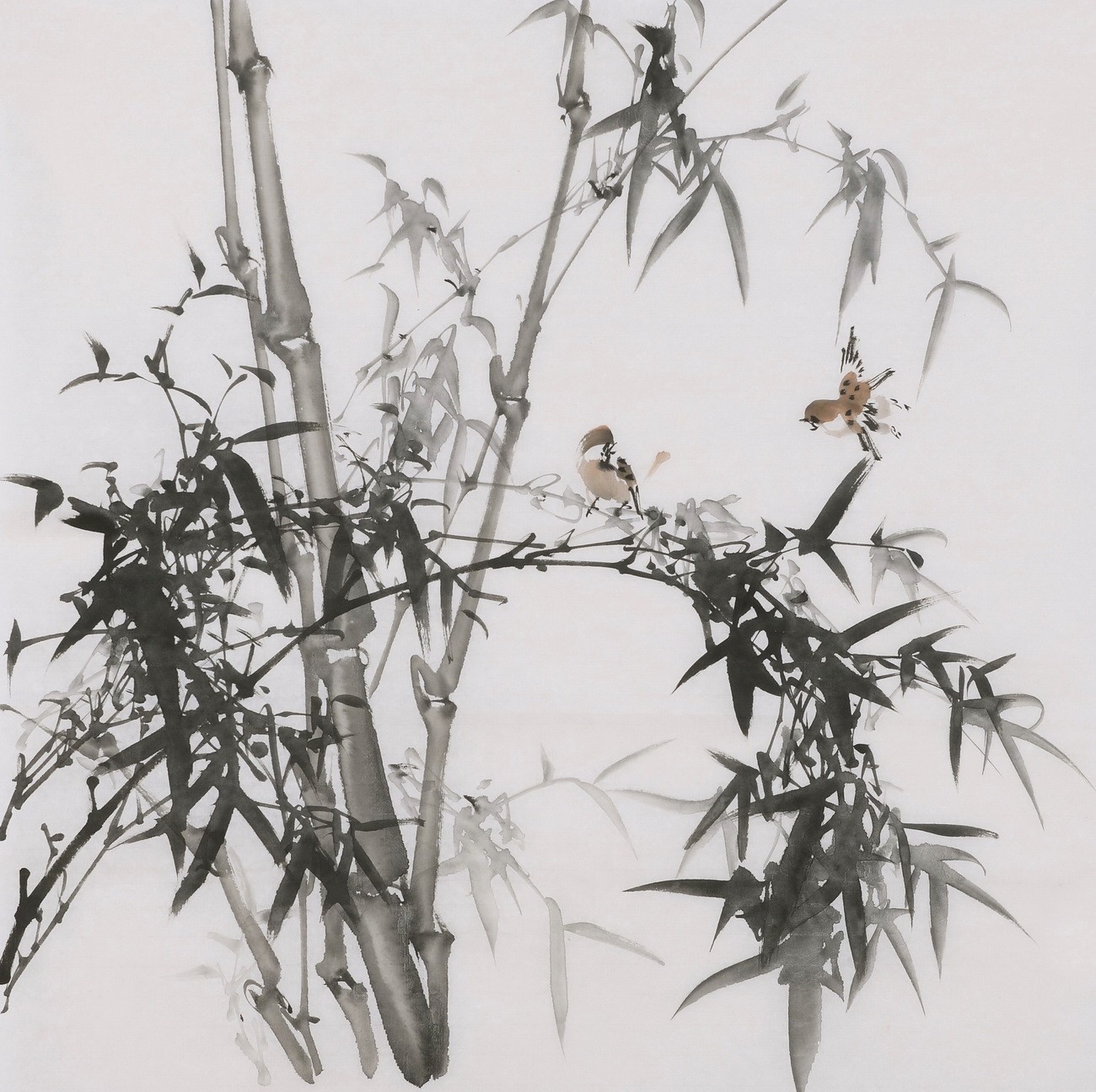 Ink Bamboo - CNAG005861