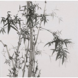 Ink Bamboo - CNAG005862