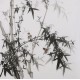 Ink Bamboo - CNAG005863
