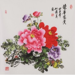 Peony - CNAG005867
