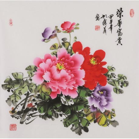 Peony - CNAG005867