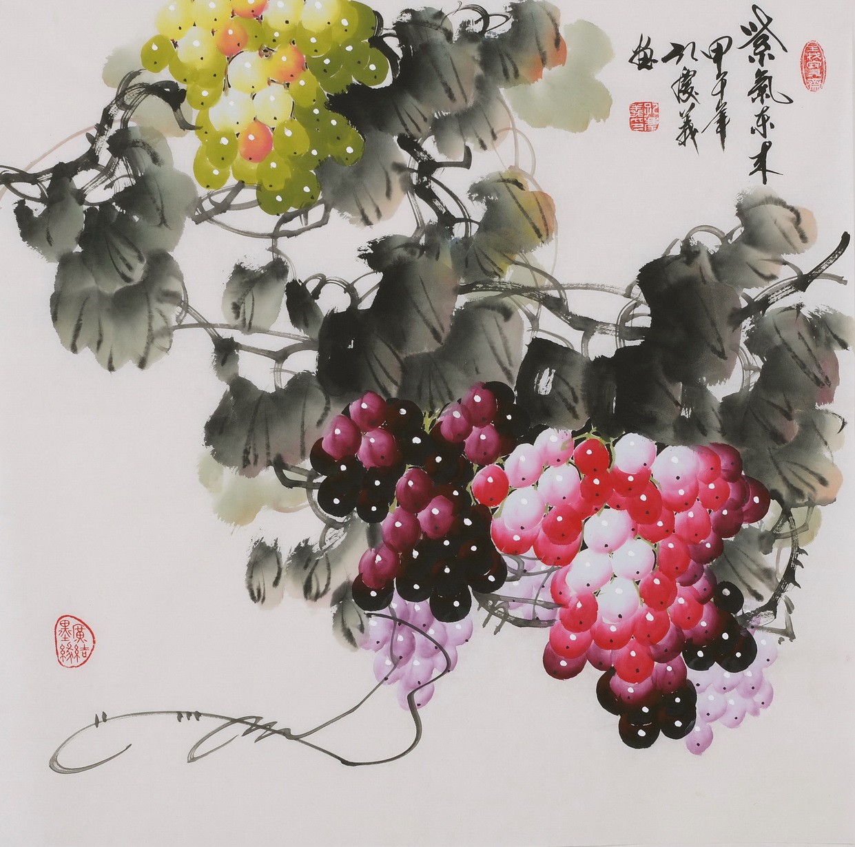 Grapes - CNAG005869